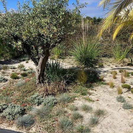 Willa Charming 3-bedroom With Private Pool In Bidos Óbidos